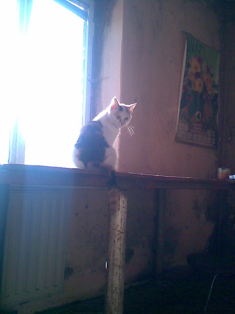 Lola....xD