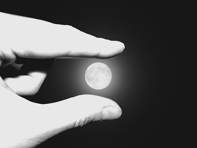 The moon
