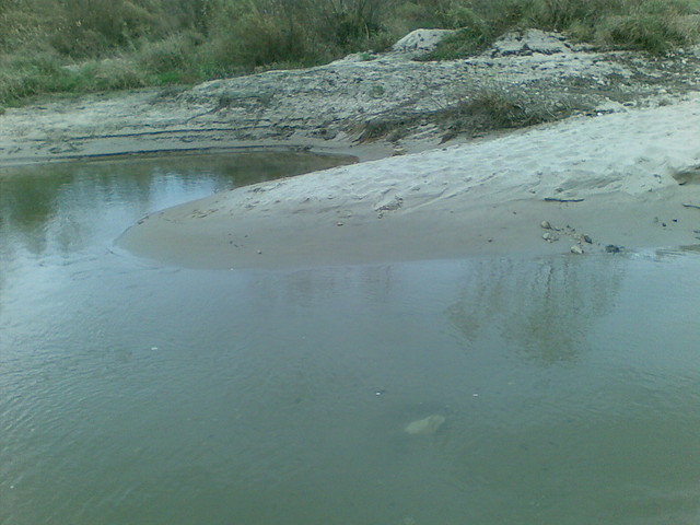 Wisa