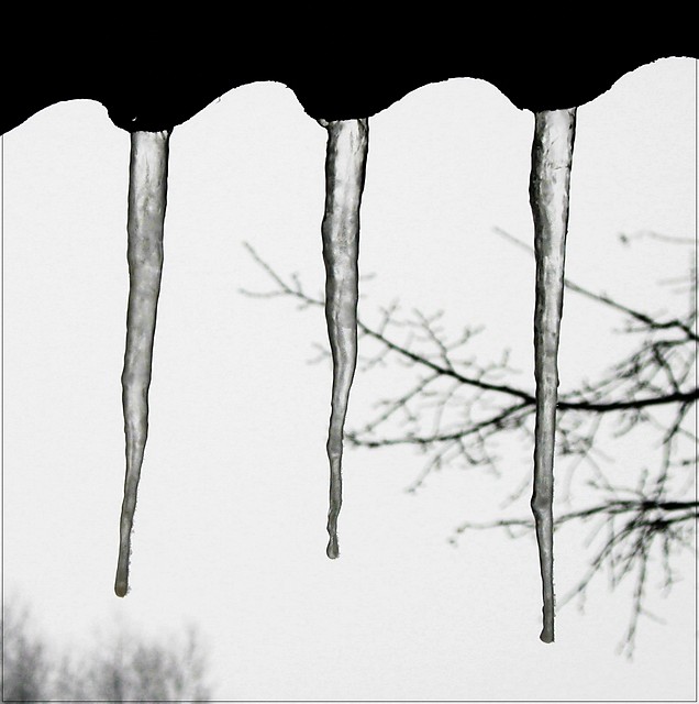sopelkowo.