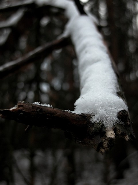 silence.