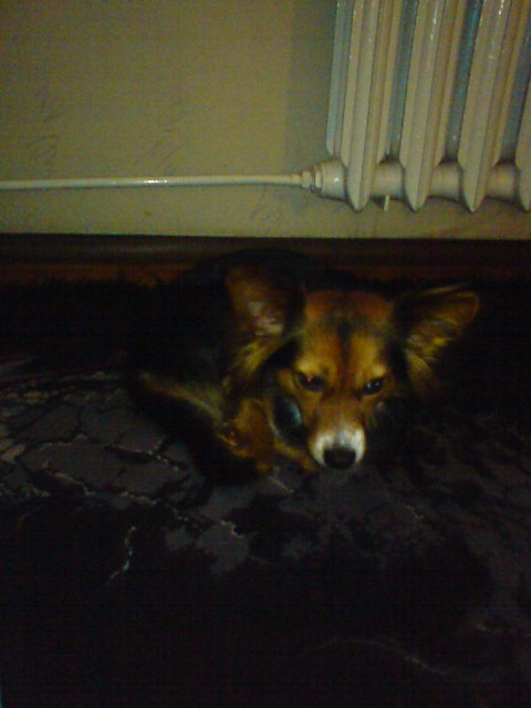 Kiru ;***