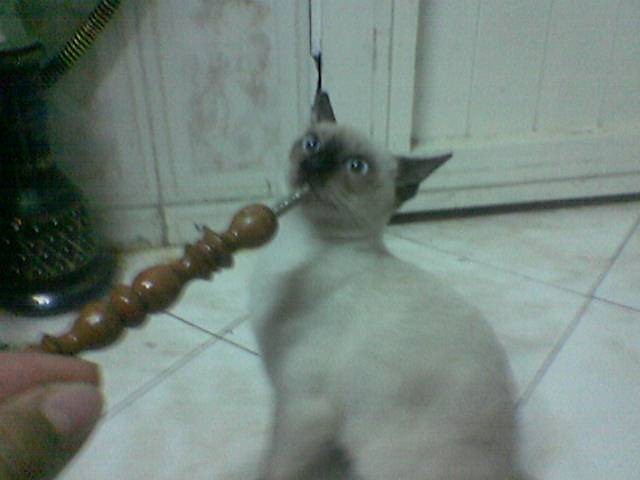 Hi Hi Hi Hi Hi !!!!!!!!!!!!!!!!!