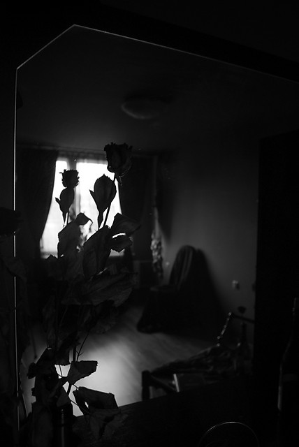 106.
