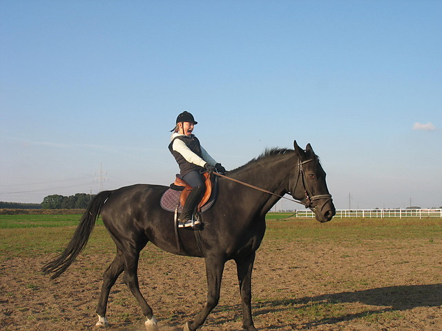 SANDD