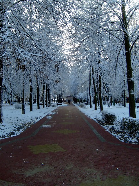moje miasto zim