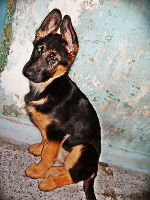 Anake < 3
