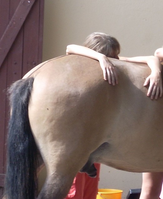 BARTU