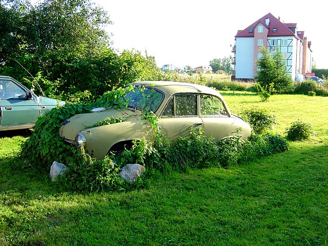 Zielono :)