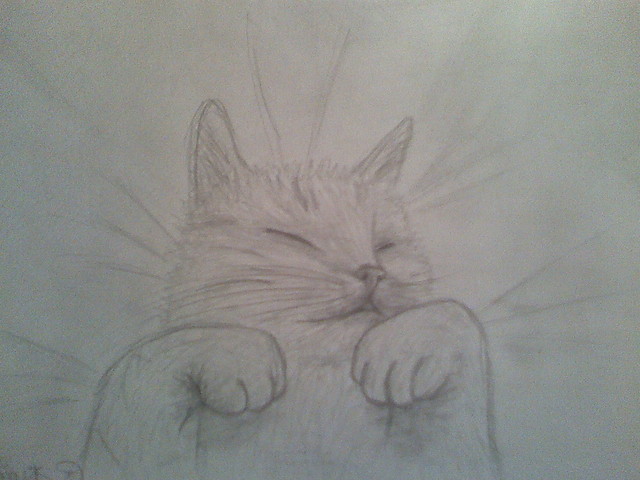 kOcioek. 