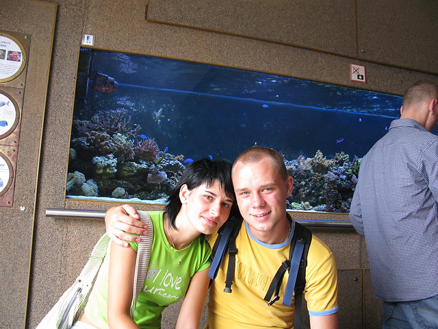Z Nim:***