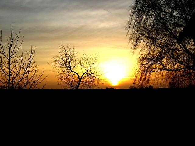 szklarzufka