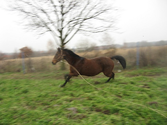 Lona ; )