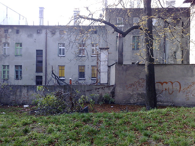 FOSA - cig dalszy