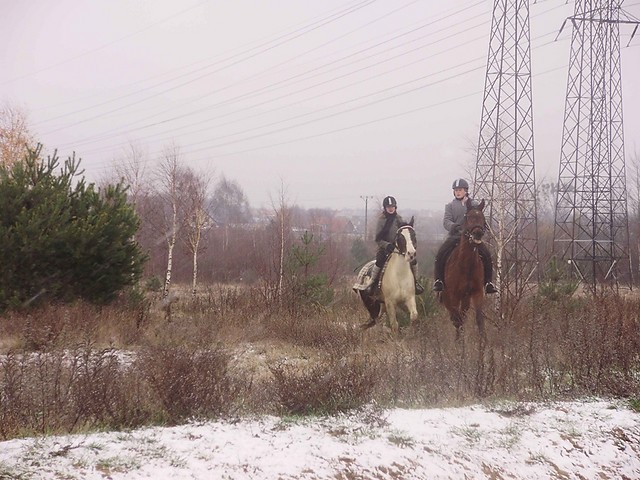 Znw teren ; )