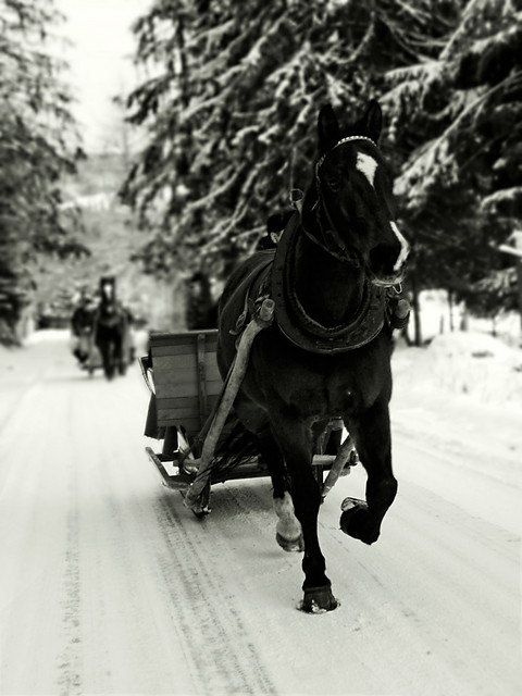 Zakopane