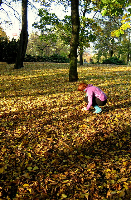Hepi park z Ak. ; )