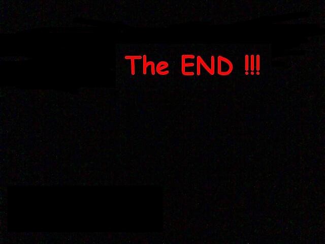 THE END 