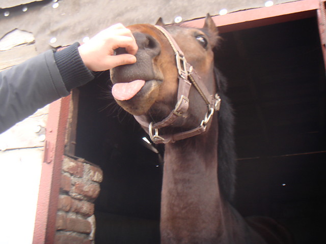 Altek