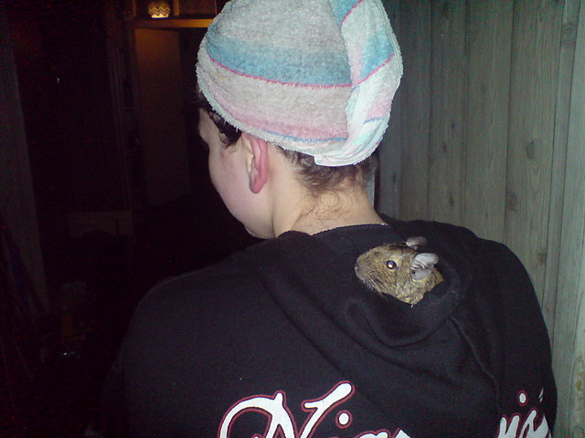 Ozzy:D