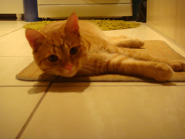 Rudy :)
