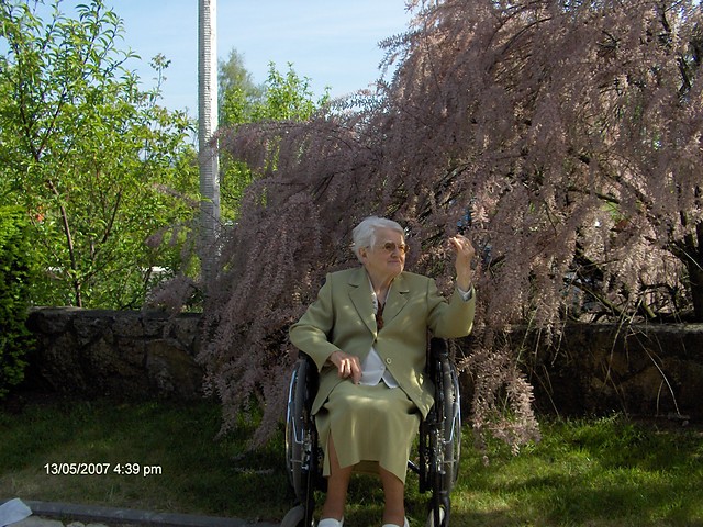 W cieniu tamaryszka.