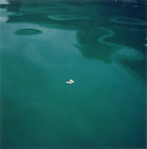 Ocean