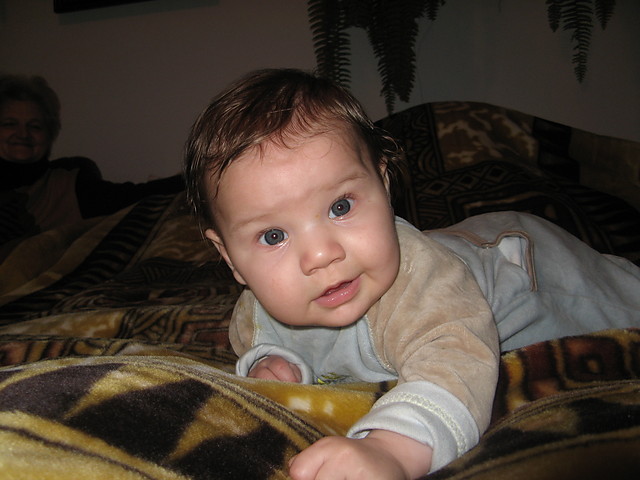 milesia