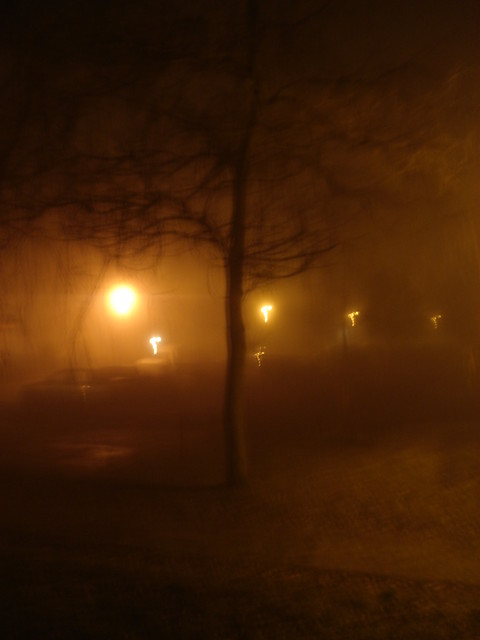 noc. part 2.