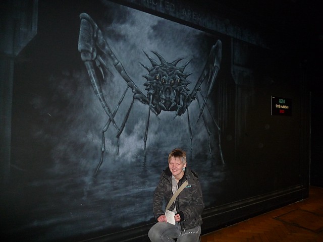 spider 8D