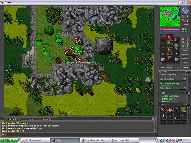 73 Sword Fighting