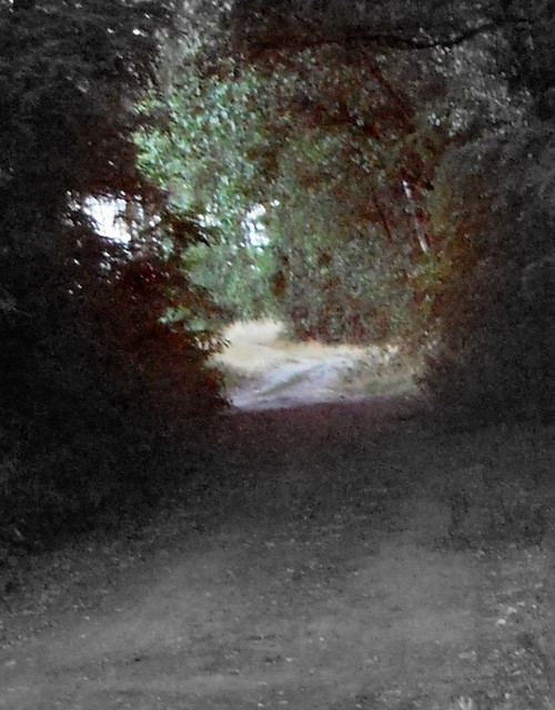 _3.