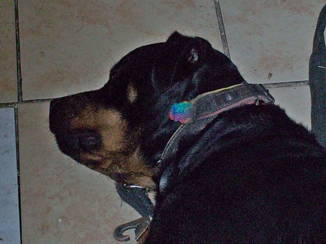 dobranoc