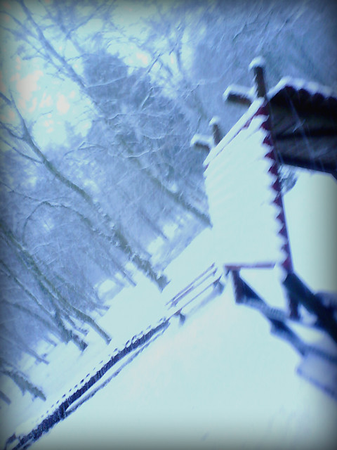 Memories Of Winter