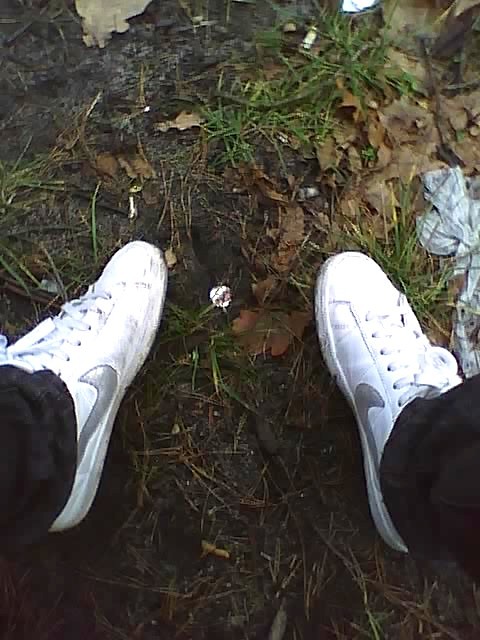 sjnr.  ;*