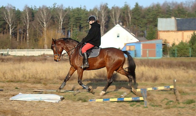 cavaletki