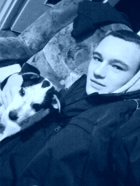 Piesek :)