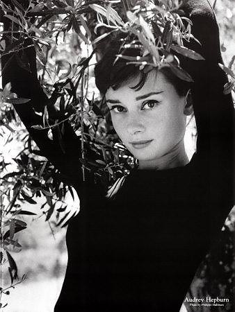 Audrey