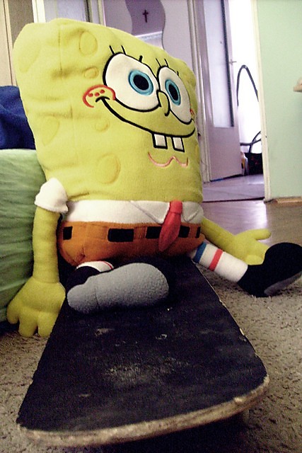 Spond bOb 