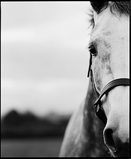 BW