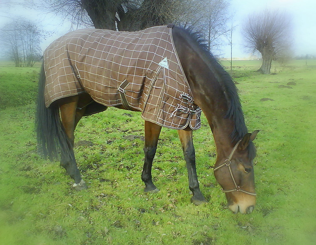 Bartman < 3.