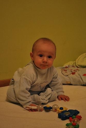 bracziszek cioteczny:]