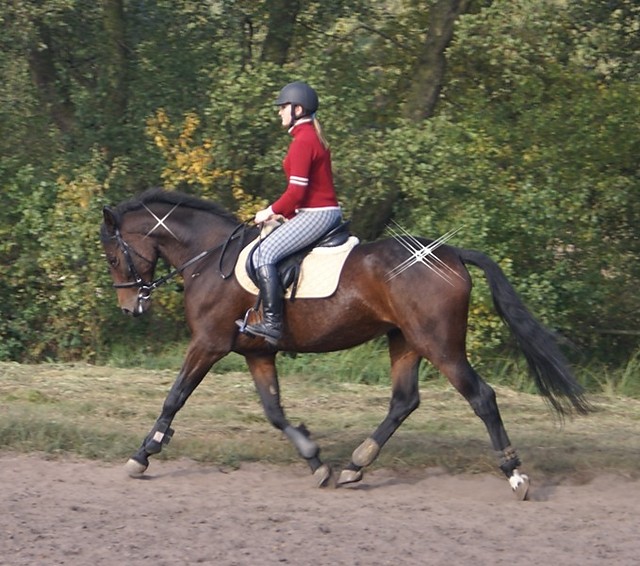 Batuta 