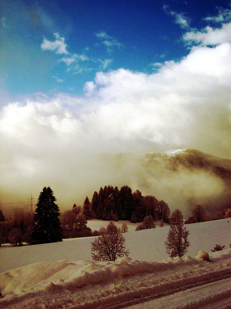 Flachau 2008