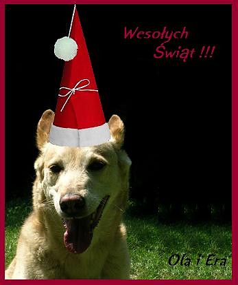 Wesoych wit