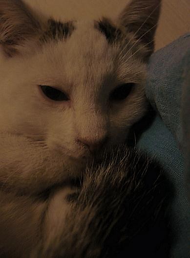 :*