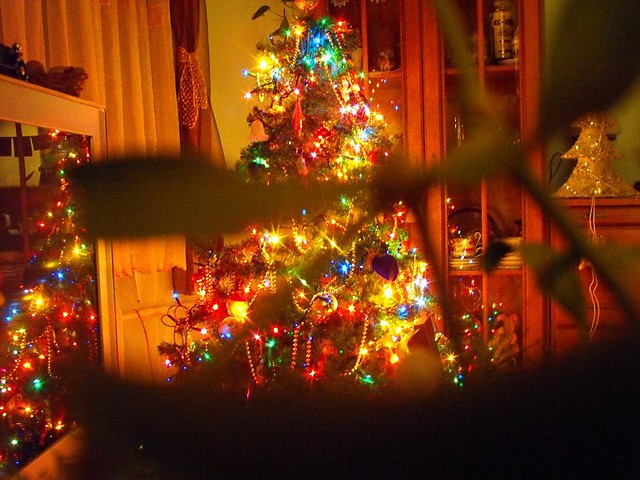 arbre de nol