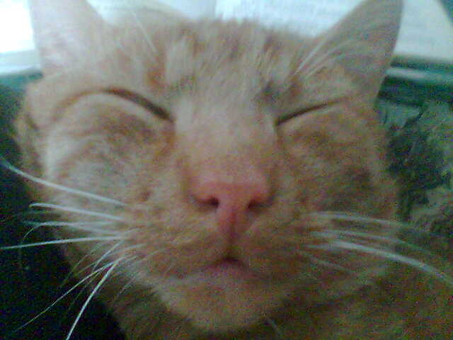 Mj,,,:**