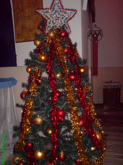 Choinka w Kociele 