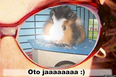 ojojoj